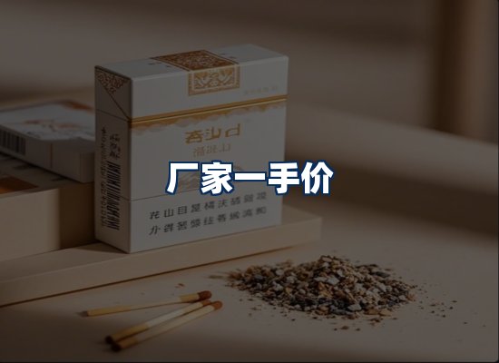 专业团队办公环境